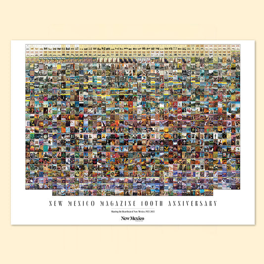 100 Years of Covers Poster UNFRAMED 18x27