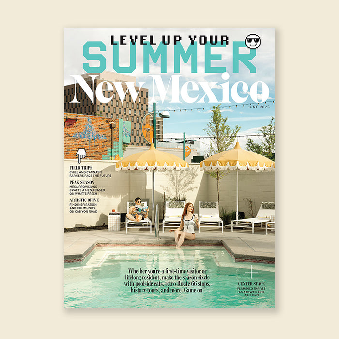 Route 66 Pool Poster – June 2025 (18x27 Unframed)