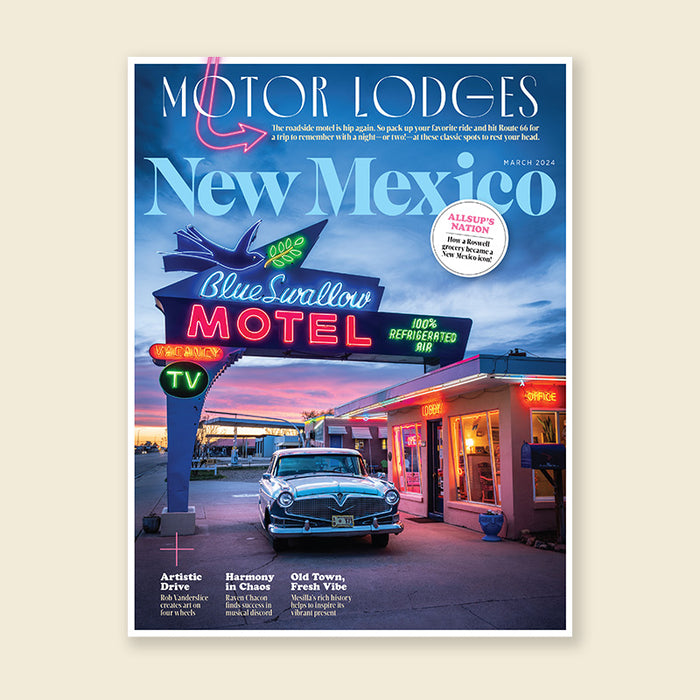 Route 66 Neon Motel Poster – March 2024 (18x27 Unframed)