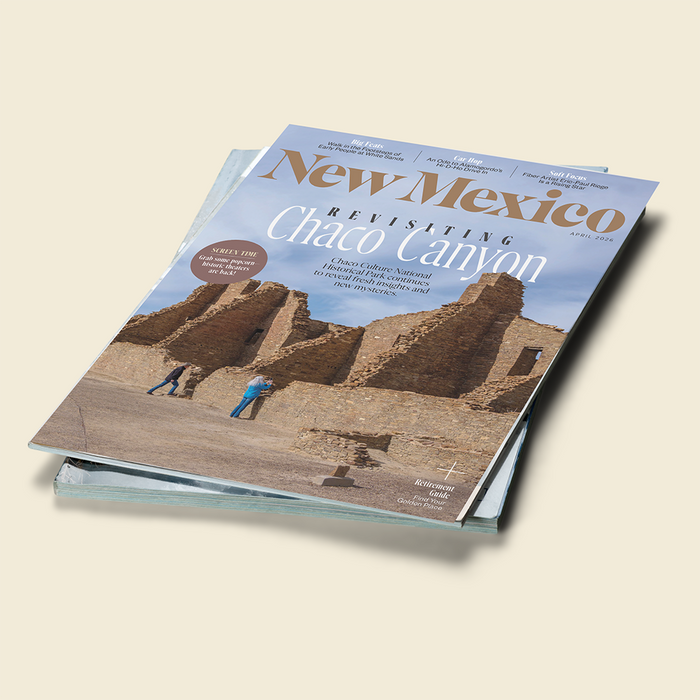 New Mexico Magazine Bundle of 10